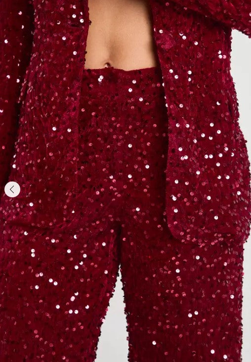 🌟 Glam Velvet Sequin Tailored Pants